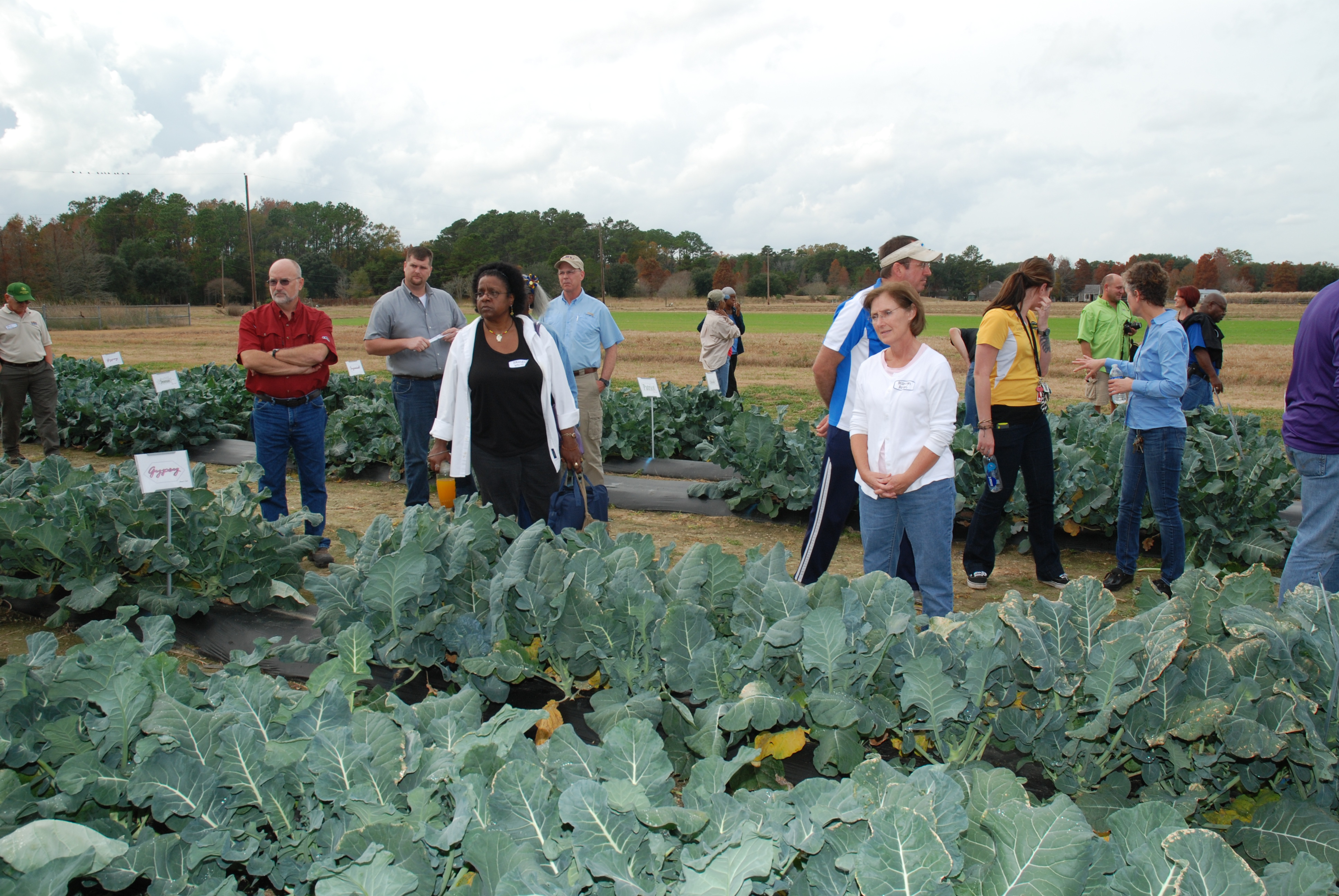 Growing Farmers webinars scheduled 